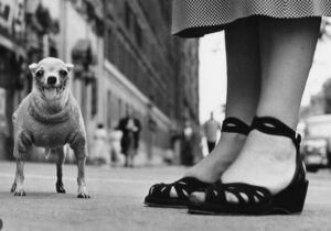 Les plus grands photographes de tous les temps : Elliott Erwitt (26 juillet 1928)