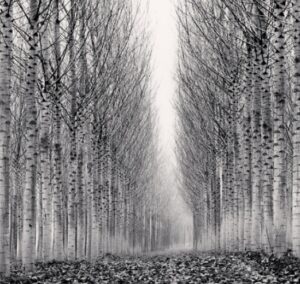 Les plus grands photographes de tous les temps : Michael Kenna (1953)