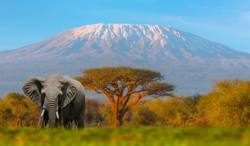 Mont Kilimandjaro